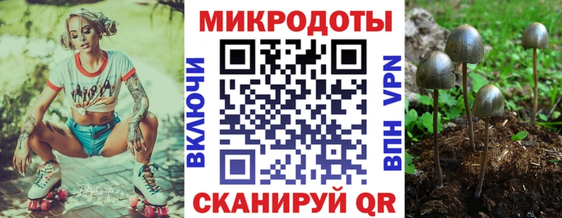 Галлюциногенные грибы Magic Shrooms  Венёв 