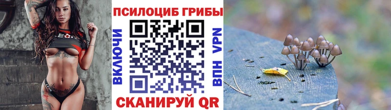 Галлюциногенные грибы Magic Shrooms Венёв